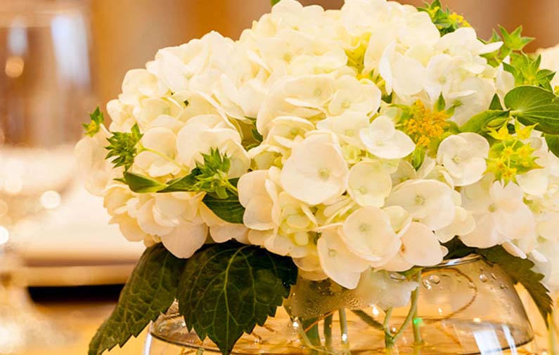 regent-catering-partners-1